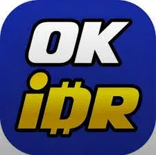 OKIDR - Aplikasi Kamus Terjemahan Terbaik untuk Belajar Bahasa